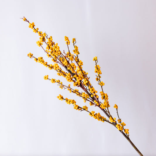 39" Golden Yellow Berry Spray