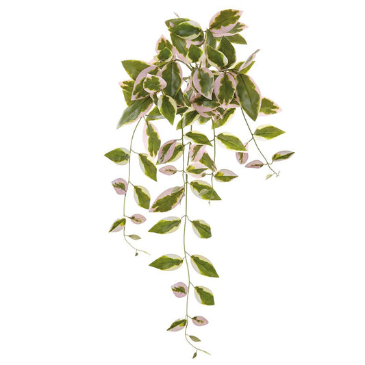 28" Pink/Green Hoya Carnosa Leaf Bush