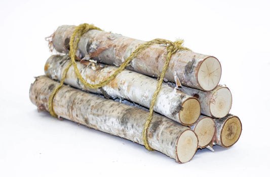 Birch Log Bundle St of 6