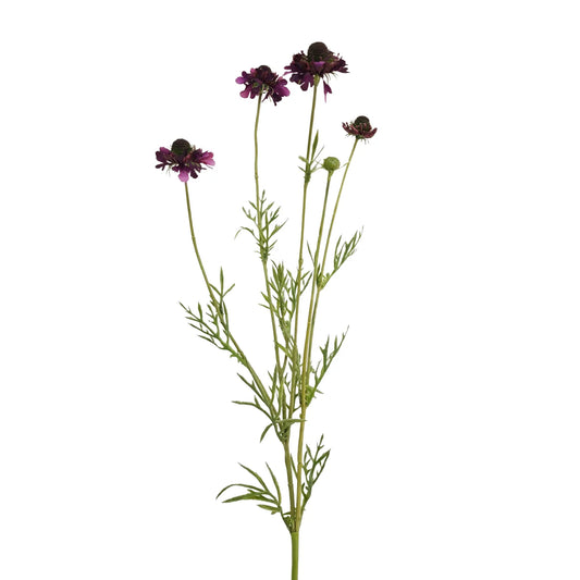 29" Eggplant Scabiosa Atropurea Spray