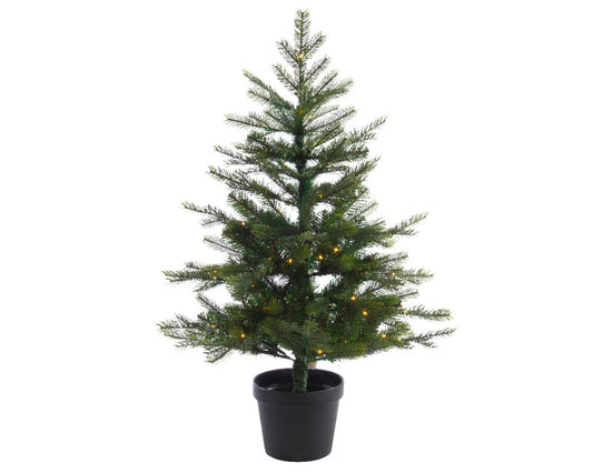 3' Grandis Potted Christmas Tree - Indoor/Outdoor