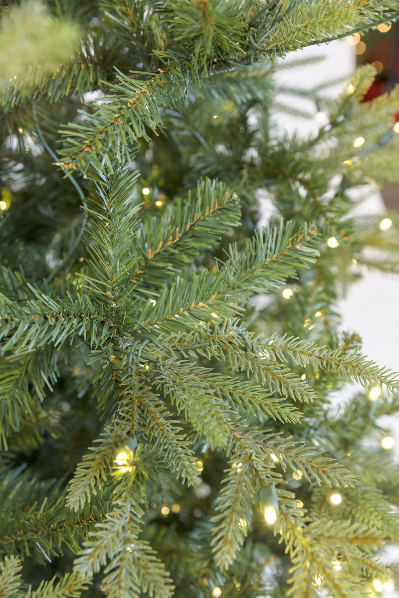 9' Pennington Fir Christmas Tree with 5mm LED Warm