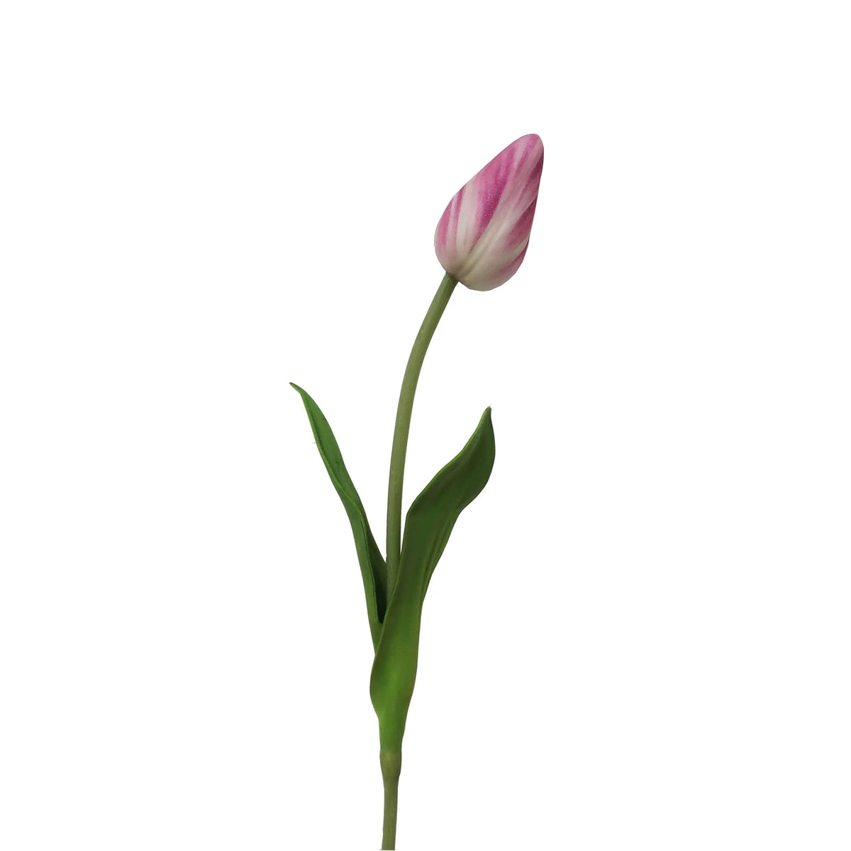 15" Mauve Pointed Tulip Stem