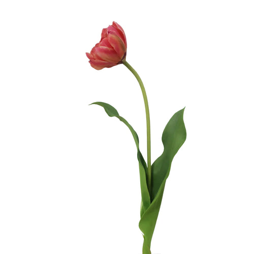 22" Mauve/Pink Double Layer Open Tulip