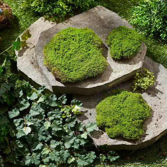 Moss Pad Set of 3
