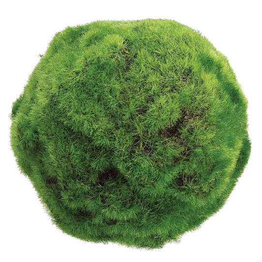 5" Green Moss Ball