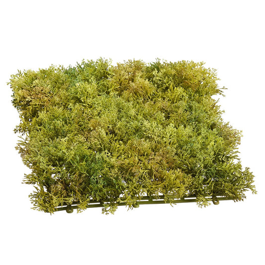 Mat Moss Plastic 10"
