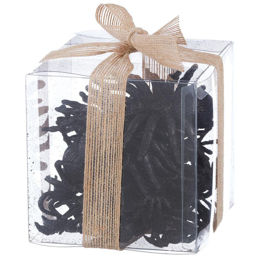 5" Glittered Spider in Black Box