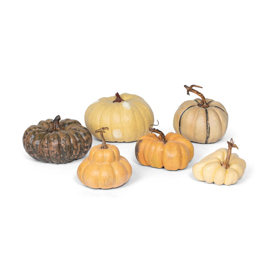 French Pumpkin Assorted