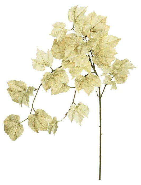 29" Parchment Spray Leaf