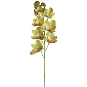36" Green Cymbidium Orchid Spray