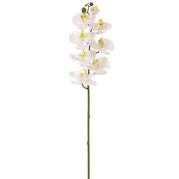 30" White Phalaenopsis/Orchid Spray