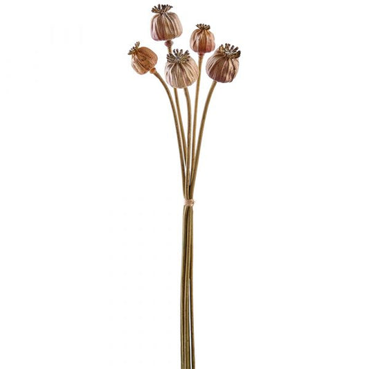 21" Light Brown Poppy Pod Spray