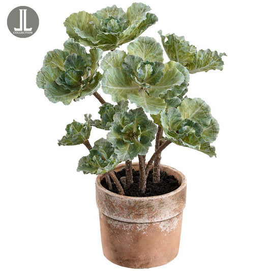 14" Ornamental Cabbage Pick with Pot