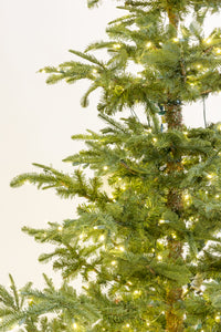 Noble Layered Christmas Tree with 5mm LED