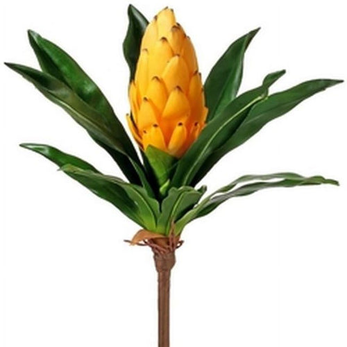 16" Yellow Bromeliad Citrus Plant