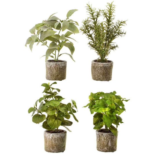 9" Potted Herb Assorted