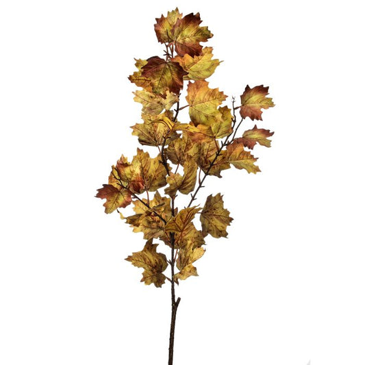 47" Green/Brown Maple Northern Vermont Spray