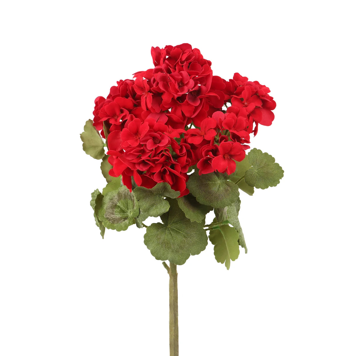 15" Red Geranium Bush x5