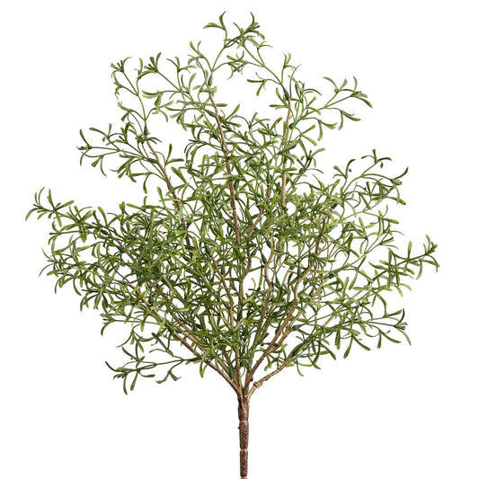 22" Green Crystalwort Bush