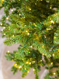 Aspen Slender Pine Color-Change Christmas Tree with 3mm LED