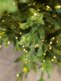 Easton Spruce Christmas Tree with Rice LED