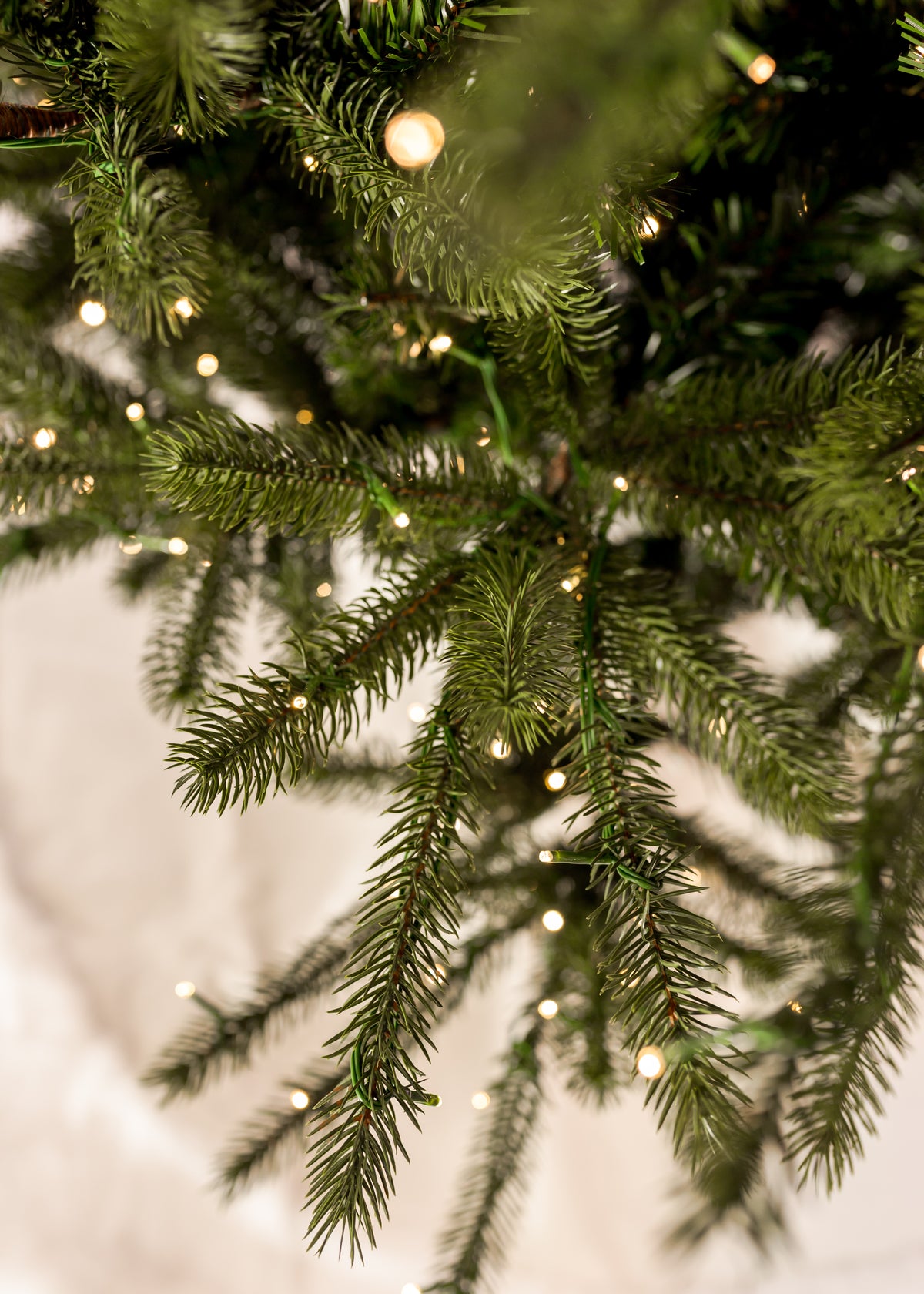 Grand Spruce Slender Color-Change Christmas Tree with 3m LED