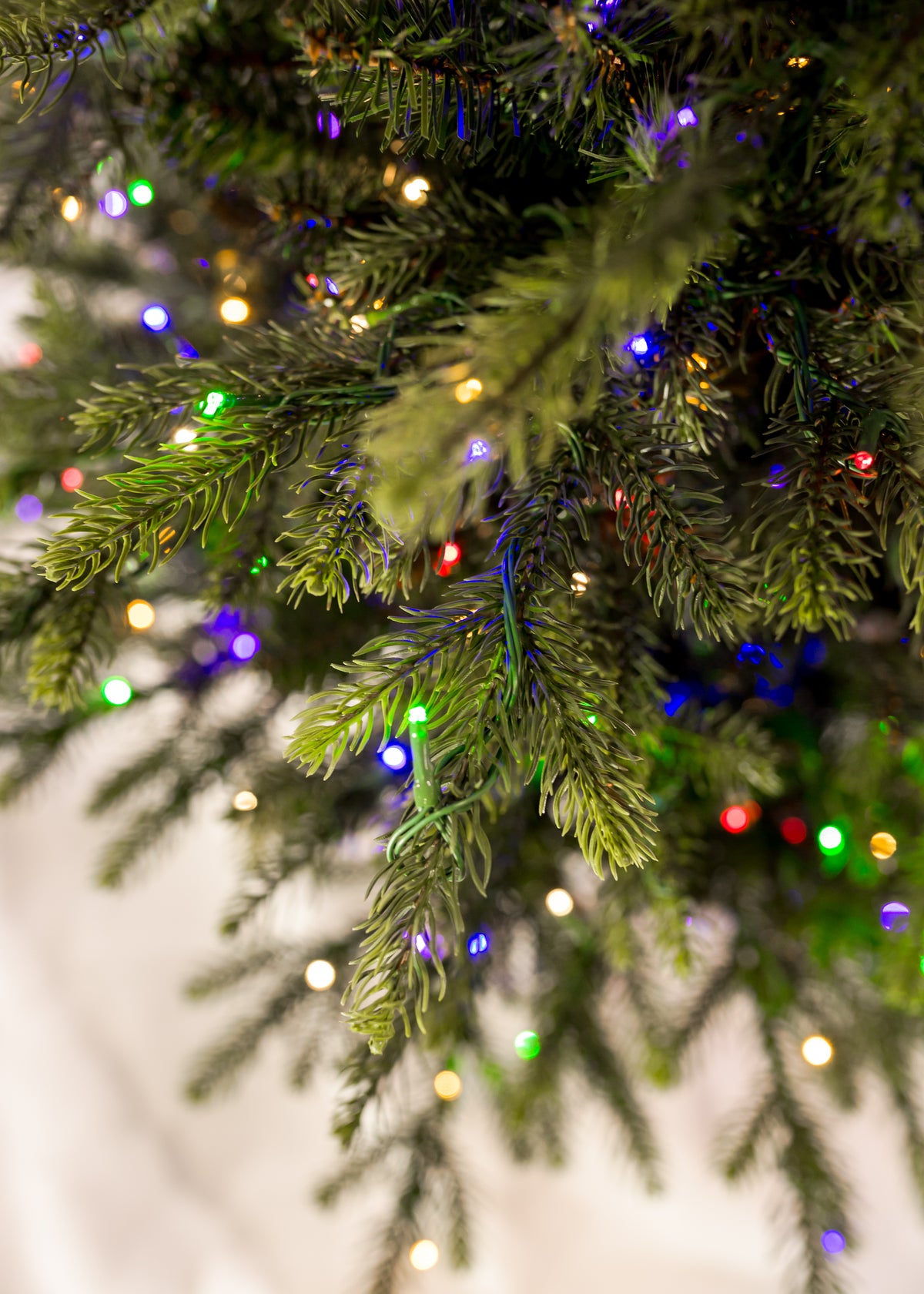 King Pine (Pencil) with 3mm LED Color Changing Christmas Tree