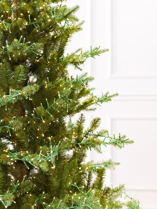Majestic Frasier Fir Christmas Tree