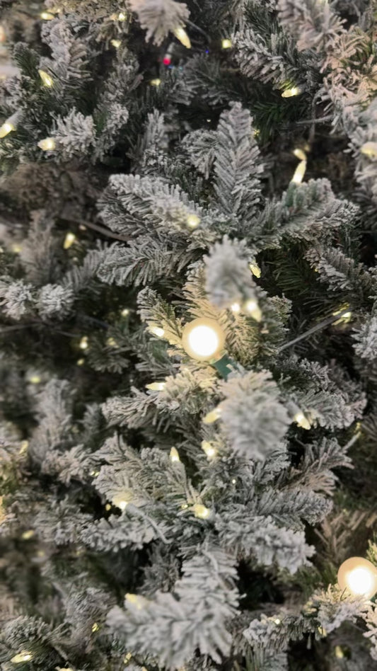 Tahoe Snowy Slim M4 & G40 LED