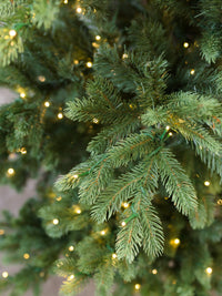 Virginia Fir Color-Change Christmas Tree with 3mm LED