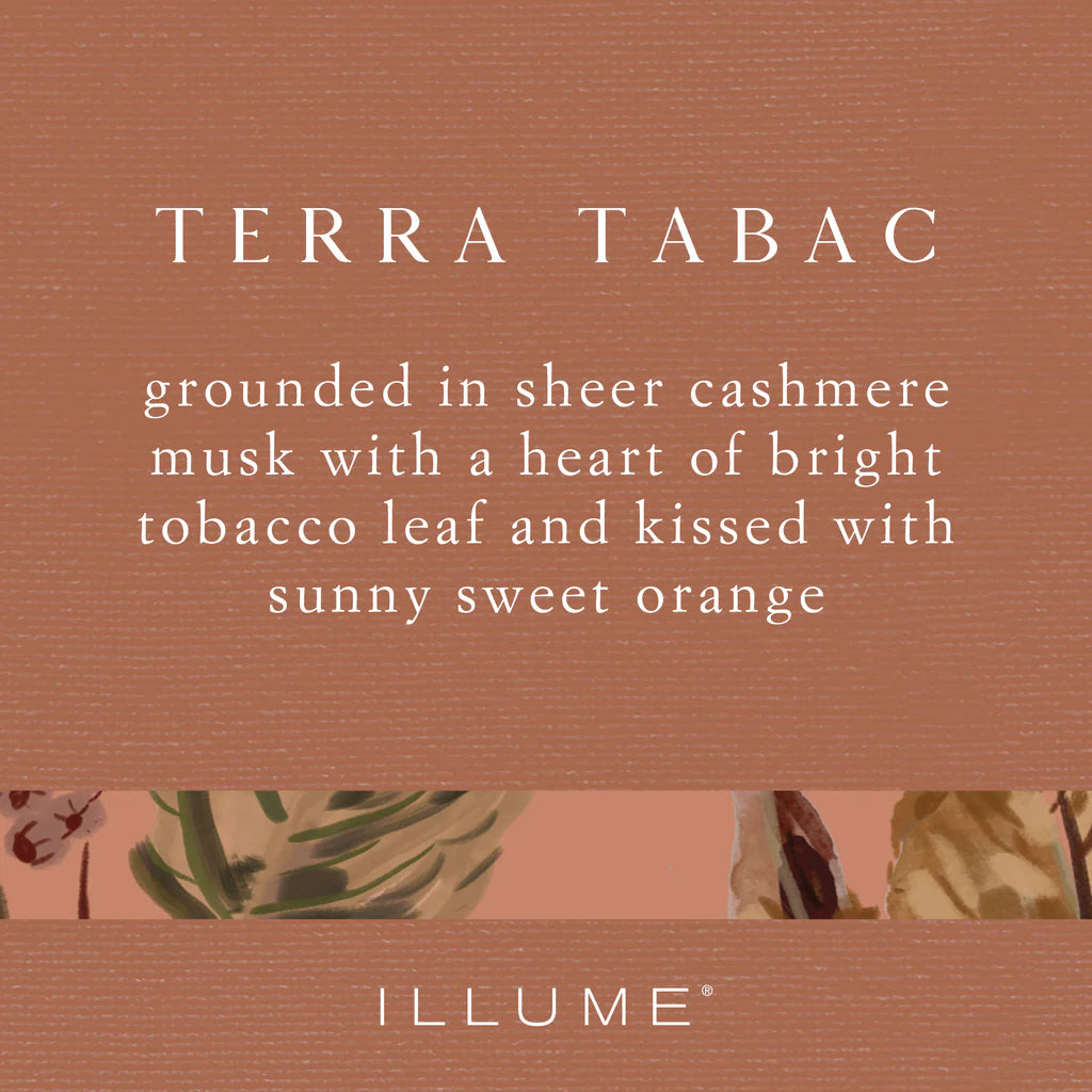 Terra Tabac Boxed Glass Candle - Illume