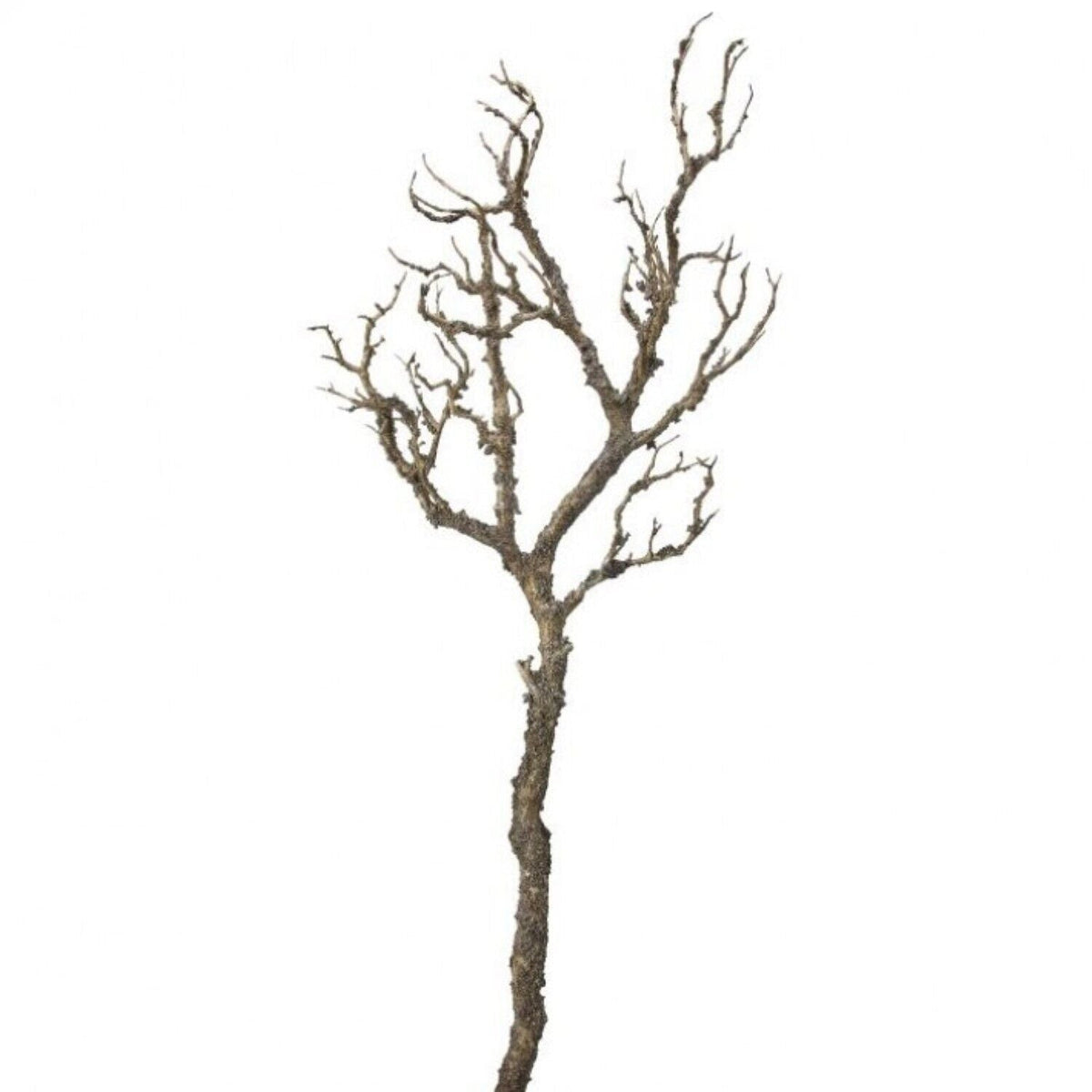 35" Weathered Spooky Tree Branch