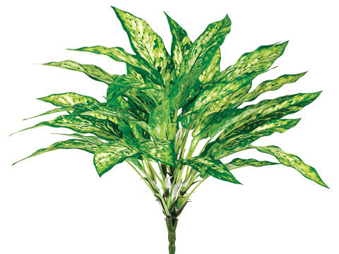artificial aglaonema plant 18.5" Aglaonema Bush – Modern Display