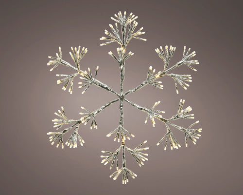 Novelty Lights