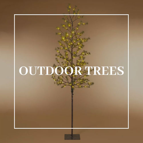 Outdoor Trees