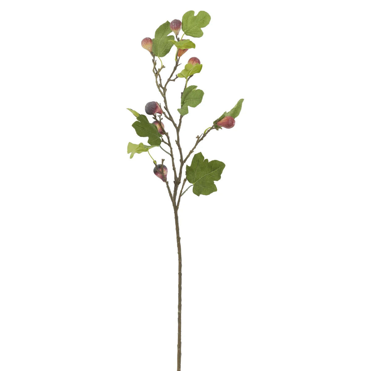 40" Burgundy Fig Spray