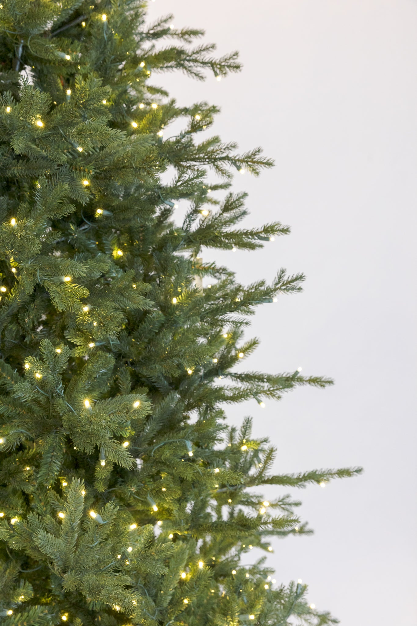 Wasatch Frasier Christmas Tree - Thumbnail 5