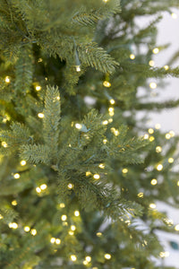 Wasatch Frasier Christmas Tree