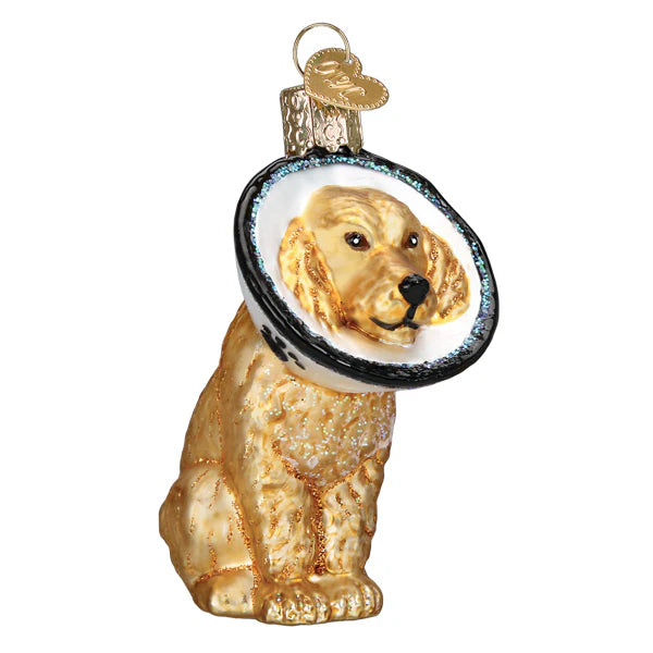 Cone Of Shame Dog - Old World Christmas Ornament