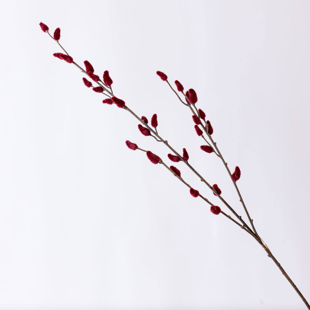 33" Burgundy Pussy Willow Branch