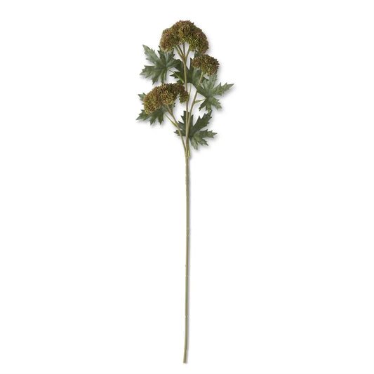 28" Green Dark Sedum