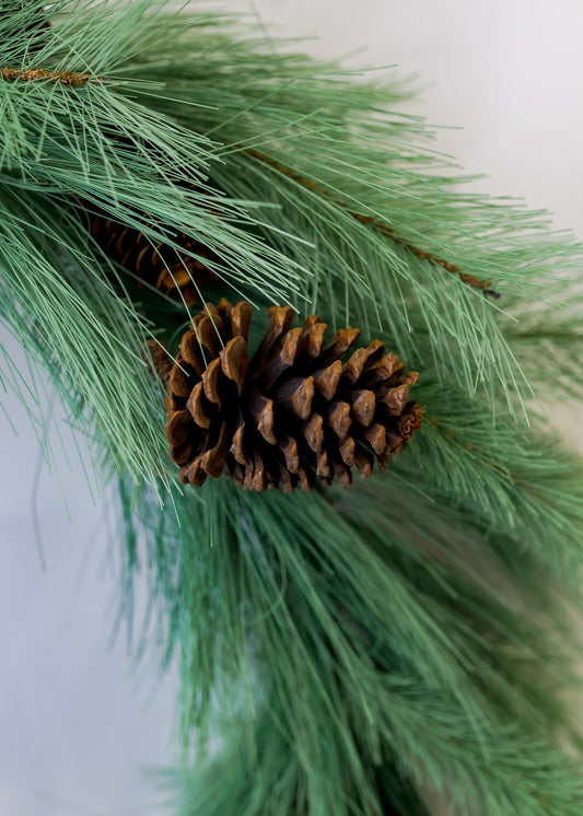 30" Eastern Pine Wreath with Pinecone (CLR)