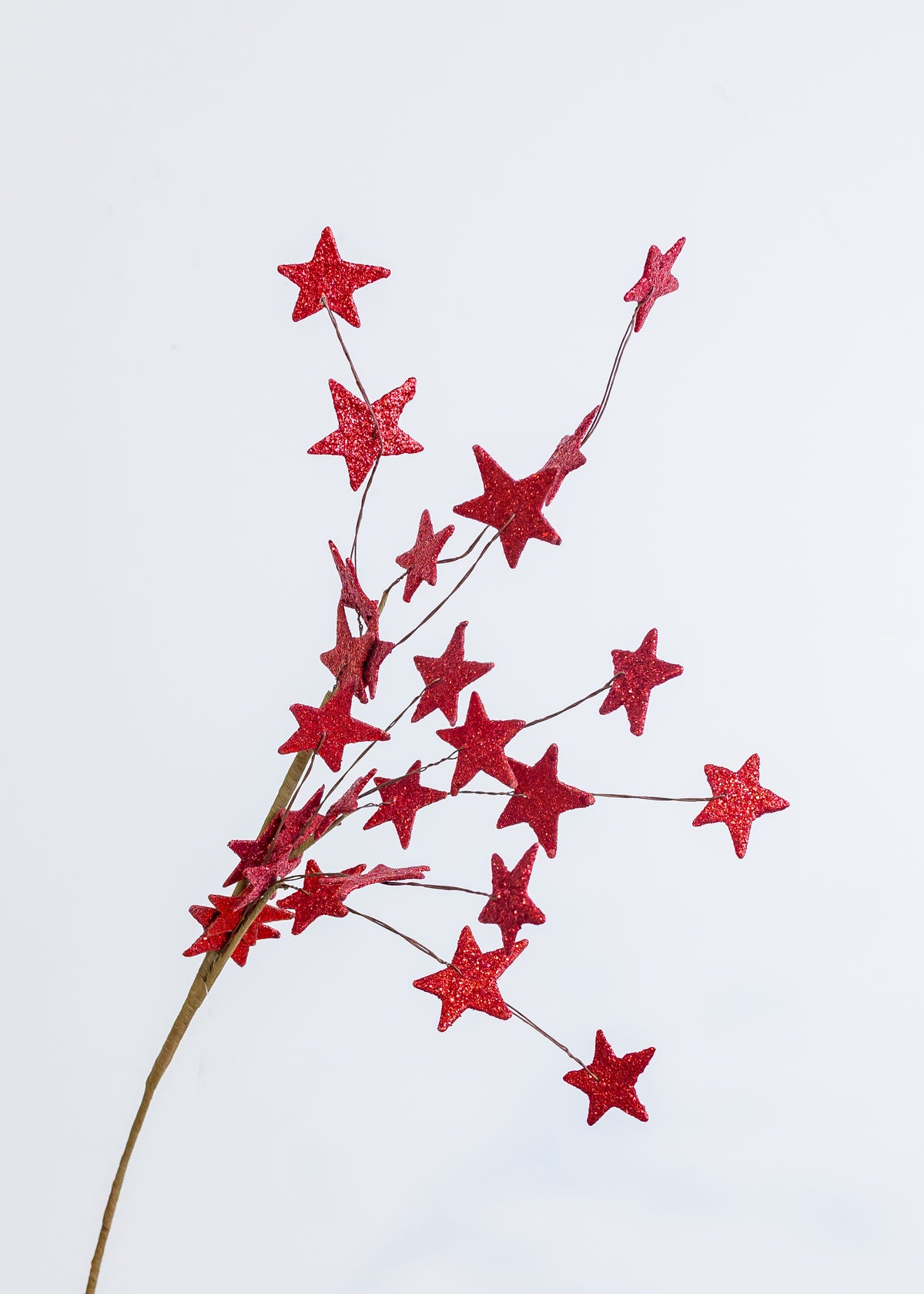 31" Red Star Spray