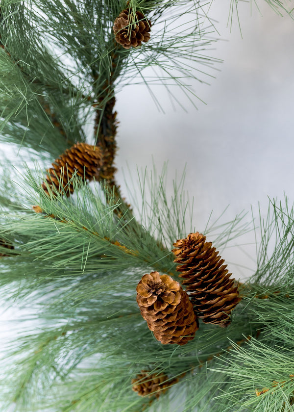 24" Pine Wreath with Cones (CLR)