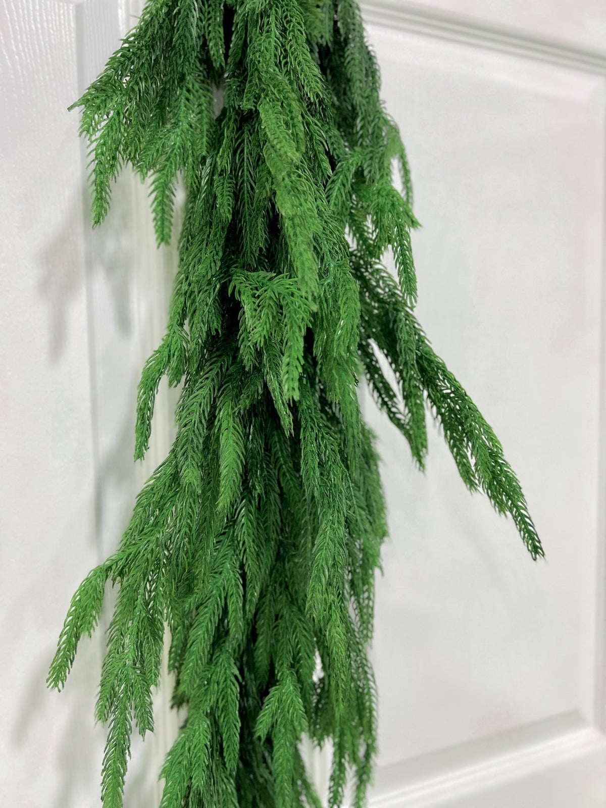 36" Norfolk Pine Swag