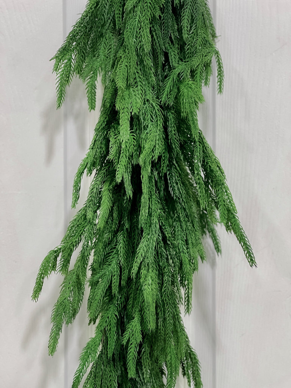 36" Norfolk Pine Swag