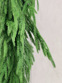 36" Norfolk Pine Swag