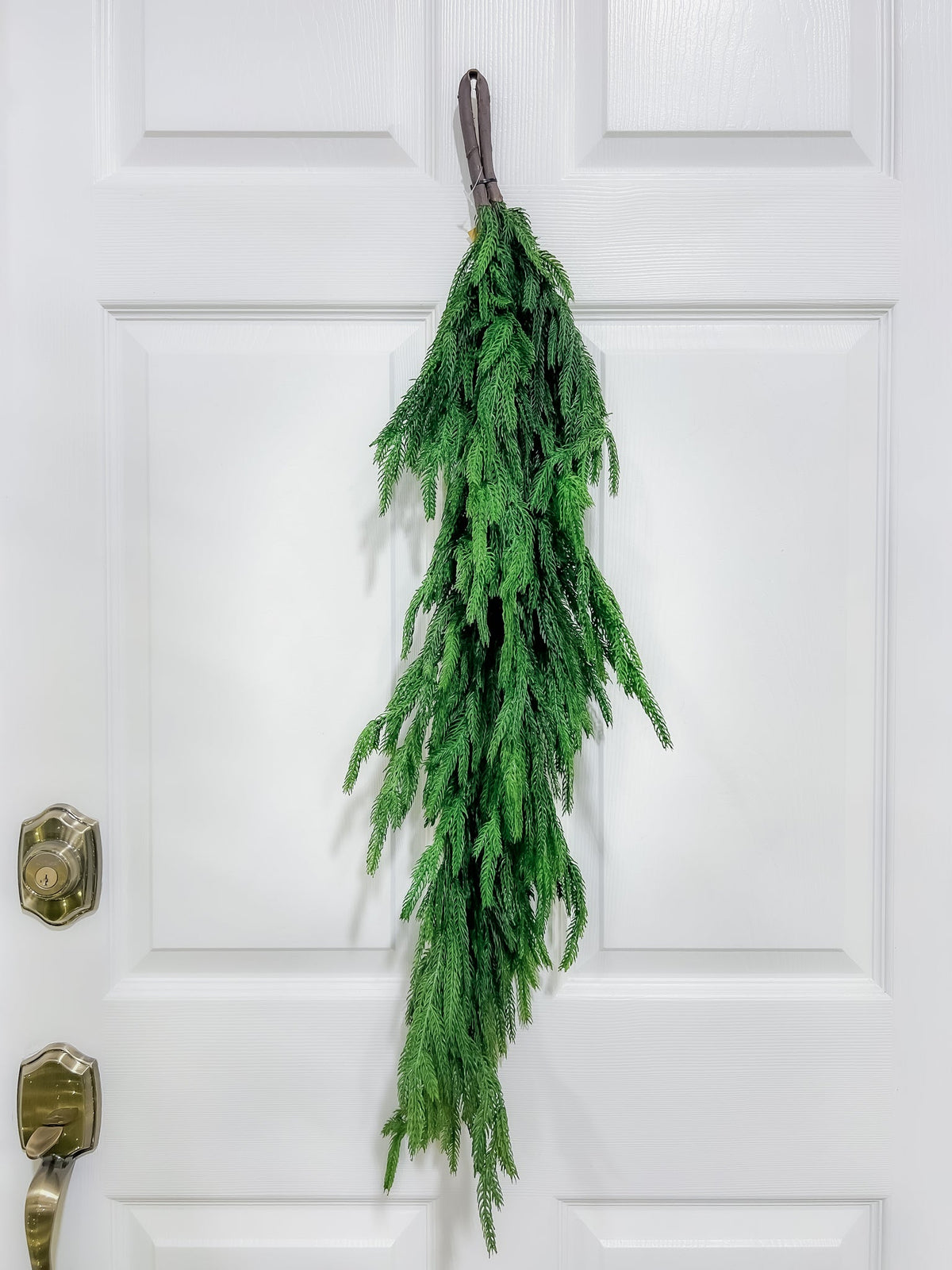 36" Norfolk Pine Swag