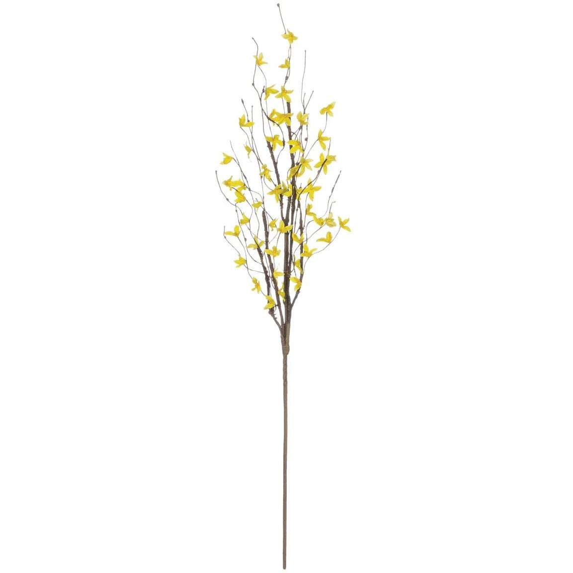 34" Forsythia Spray